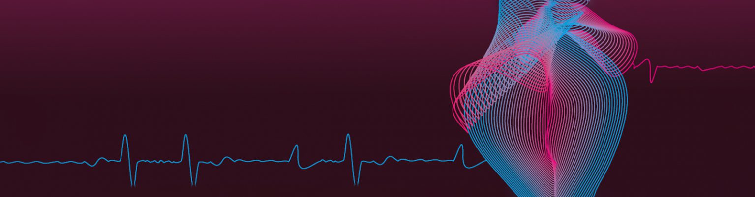 SMTD Holding Copration-vision SMTD Holding Copration-vision