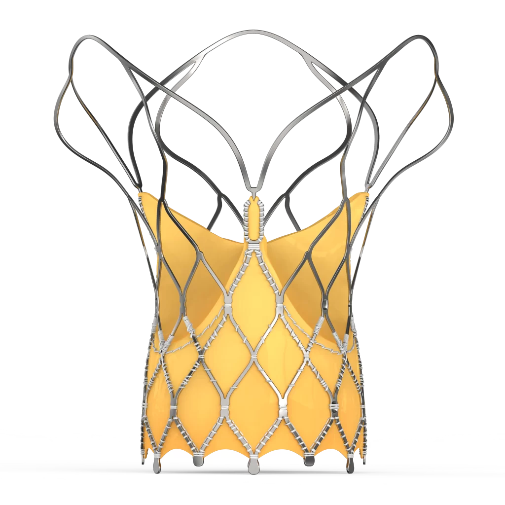hydra-transcatheter aortic valve-structural heart devices