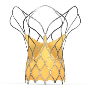 hydra-transcatheter aortic valve-structural heart devices