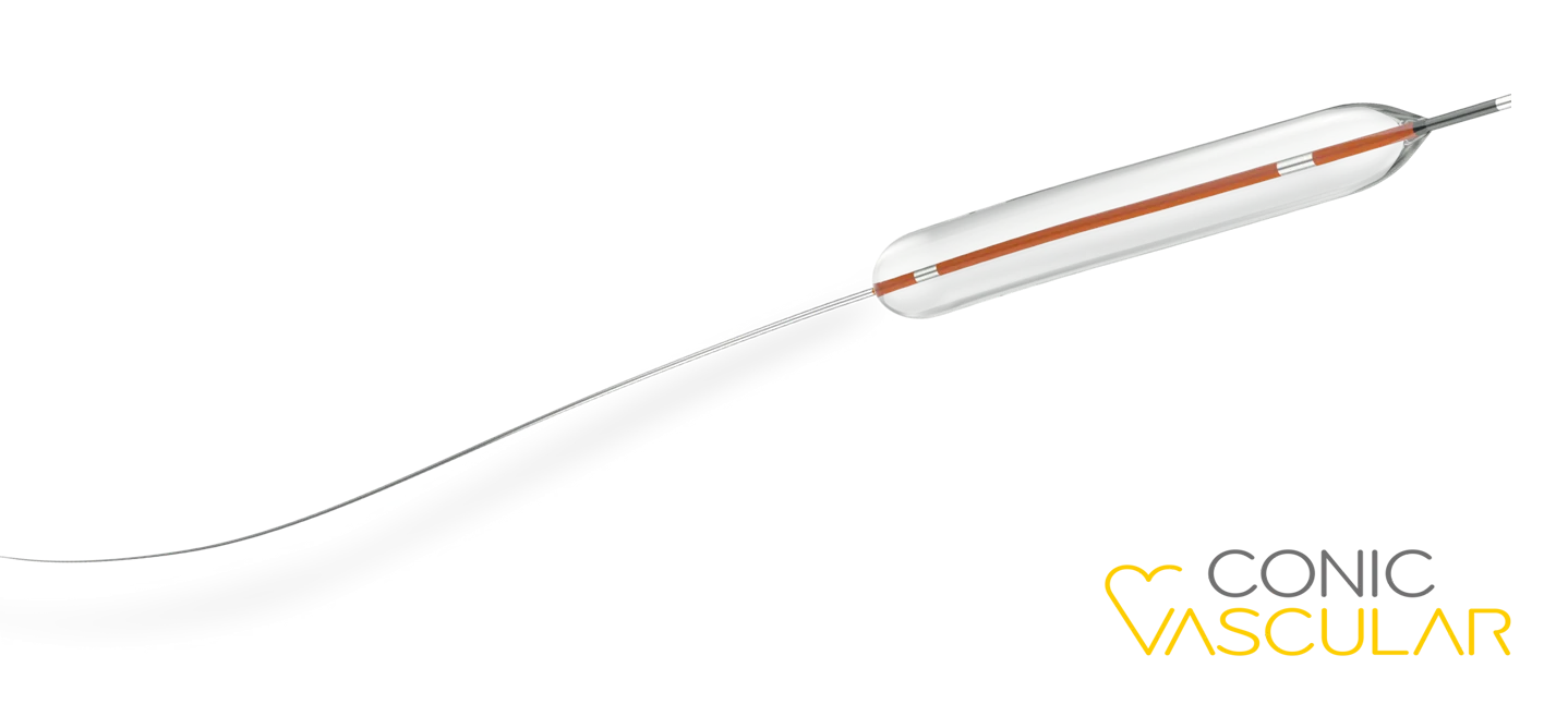 clever ptca balloon catheter-1