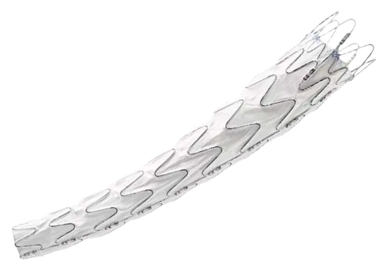 direct stent-stent graft