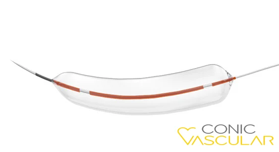 conic one ptca balloon catheter-1