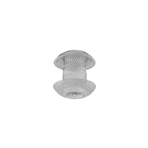 Ventricular Septal Defect